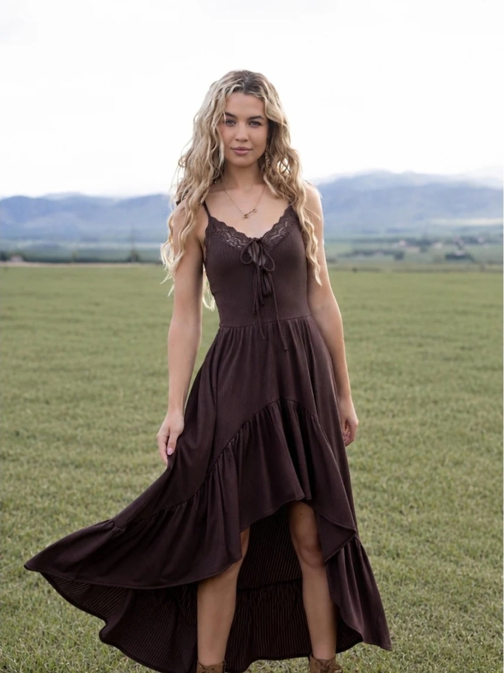 Joyfolie Wynrie Dress in Chocolate Brown Size S